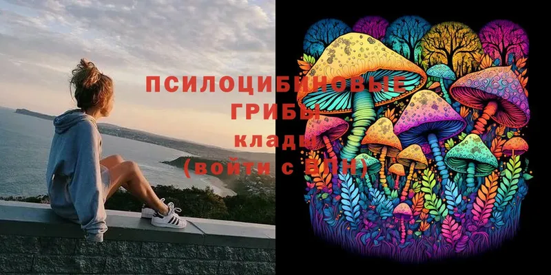 Галлюциногенные грибы Psilocybine cubensis  купить закладку  Унеча 